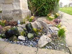sensory garden spring 2009